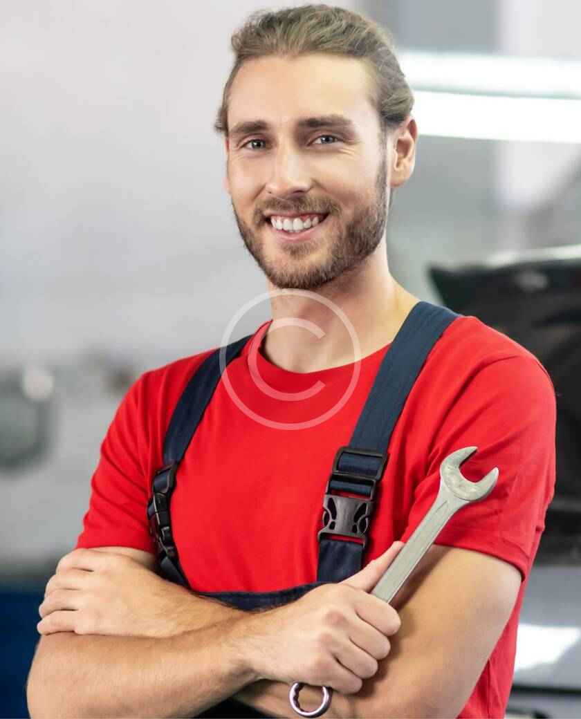 Paul darius Nechita
